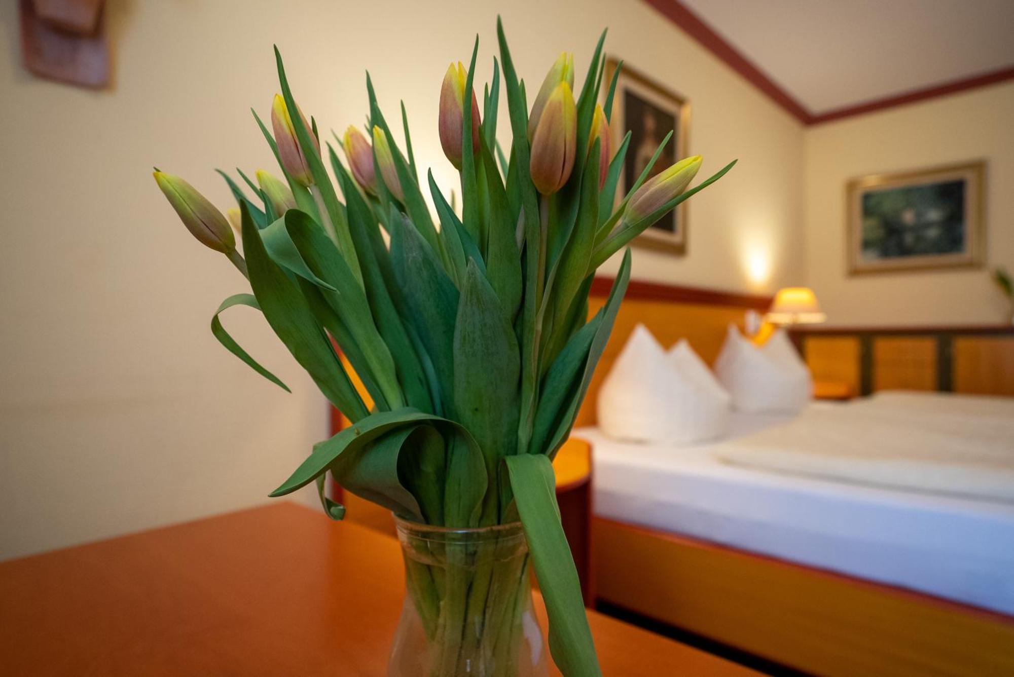 Hotel Esplanade & Aparthotel Rialto ビンツ エクステリア 写真